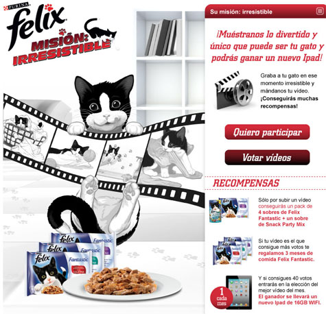 ganar nuevo ipad y comida gatos