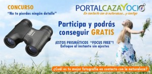 concurso-prismaticos-gratis-bushnell