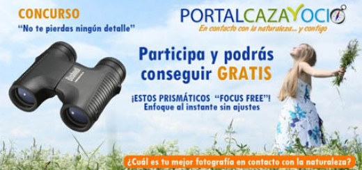 concurso-prismaticos-gratis-bushnell