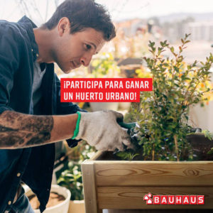 sorteo de dos huertos urbanos por cada bauhaus